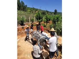 施工現(xiàn)場實景圖